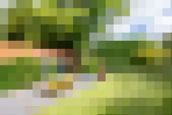 Johan de Wittlaan 2 Haarlem thumbnail 22