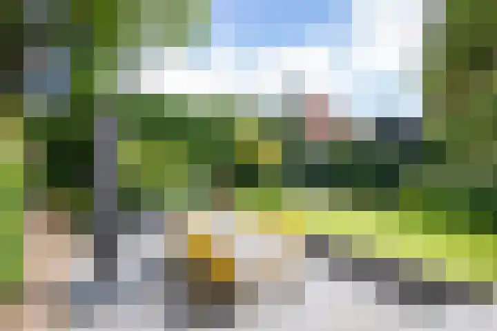 Johan de Wittlaan 2 Haarlem thumbnail 23