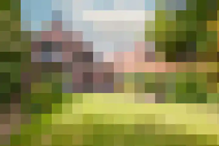 Johan de Wittlaan 2 Haarlem thumbnail 24