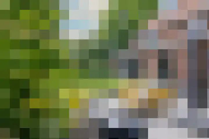 Johan de Wittlaan 2 Haarlem thumbnail 25
