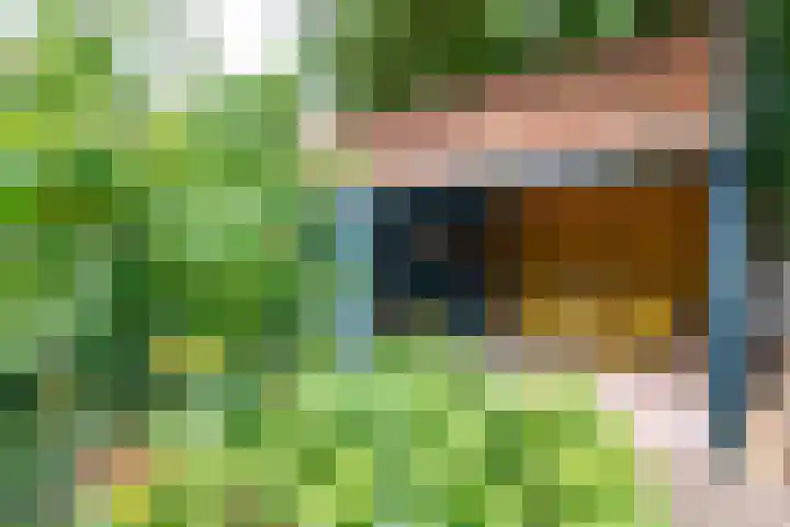 Johan de Wittlaan 2 Haarlem thumbnail 26