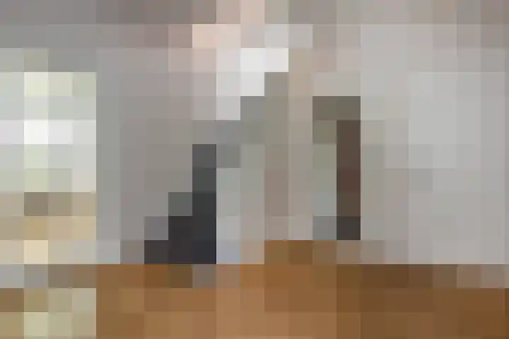 Johan de Wittlaan 2 Haarlem thumbnail 27