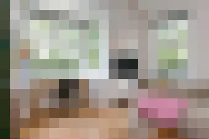 Johan de Wittlaan 2 Haarlem thumbnail 28