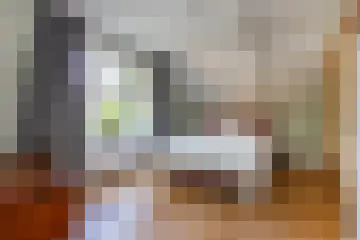 Johan de Wittlaan 2 Haarlem thumbnail 30