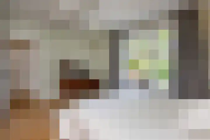 Johan de Wittlaan 2 Haarlem thumbnail 31
