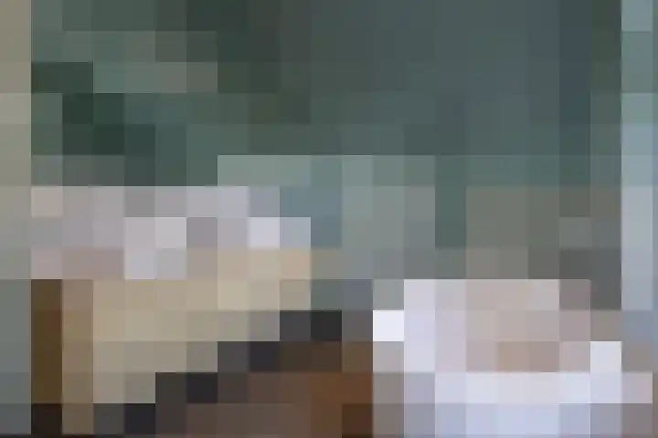 Johan de Wittlaan 2 Haarlem thumbnail 32
