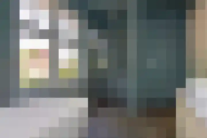 Johan de Wittlaan 2 Haarlem thumbnail 33