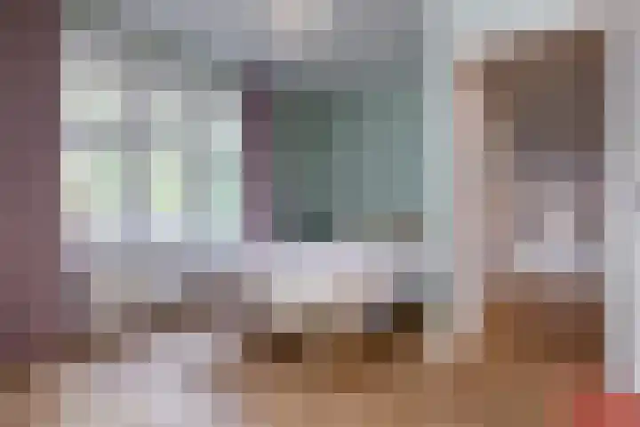 Johan de Wittlaan 2 Haarlem thumbnail 36