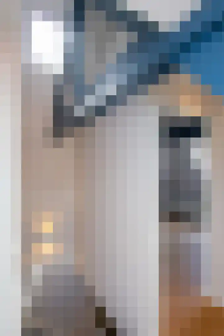Johan de Wittlaan 2 Haarlem thumbnail 38