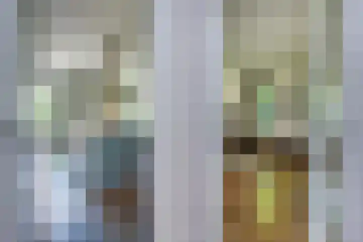 Johan de Wittlaan 2 Haarlem thumbnail 4