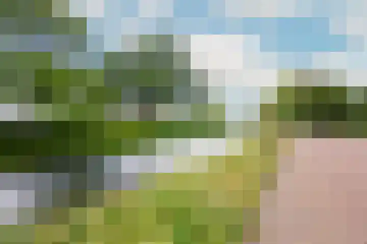 Johan de Wittlaan 2 Haarlem thumbnail 45