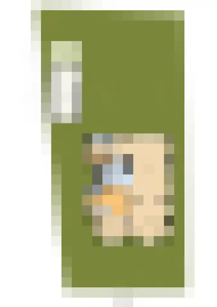 Johan de Wittlaan 2 Haarlem thumbnail 50