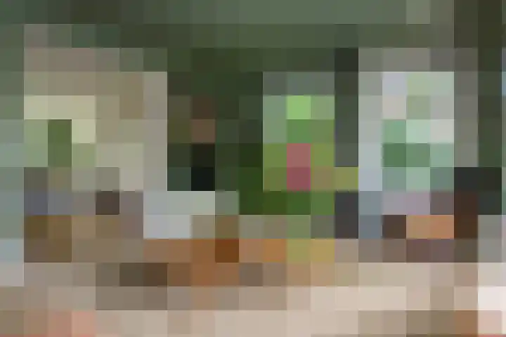 Johan de Wittlaan 2 Haarlem thumbnail 6