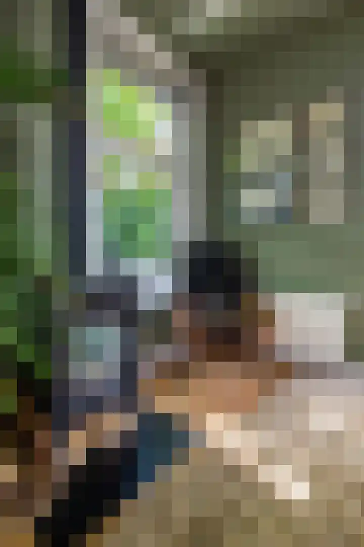 Johan de Wittlaan 2 Haarlem thumbnail 7