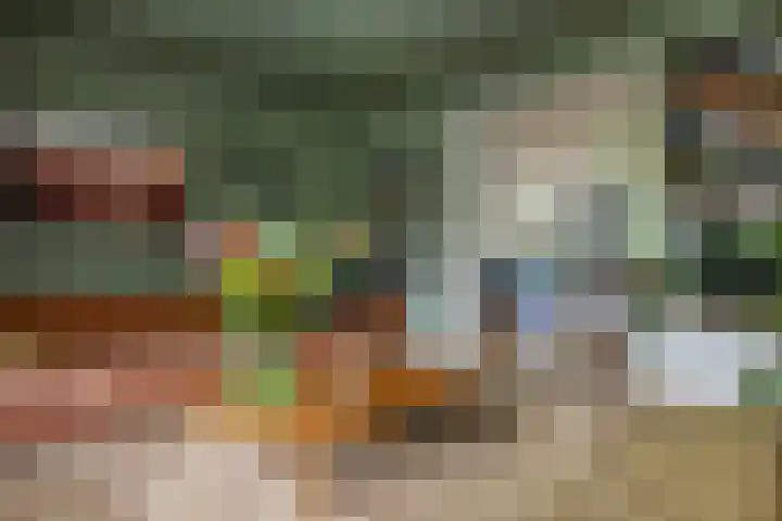 Johan de Wittlaan 2 Haarlem thumbnail 8