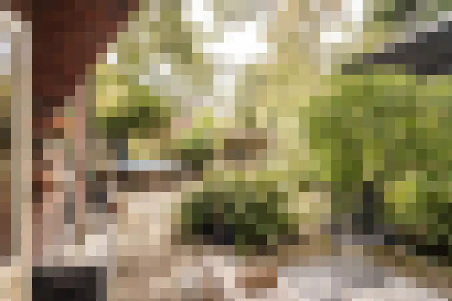 Johan de Wittlaan 20 Haarlem thumbnail 17