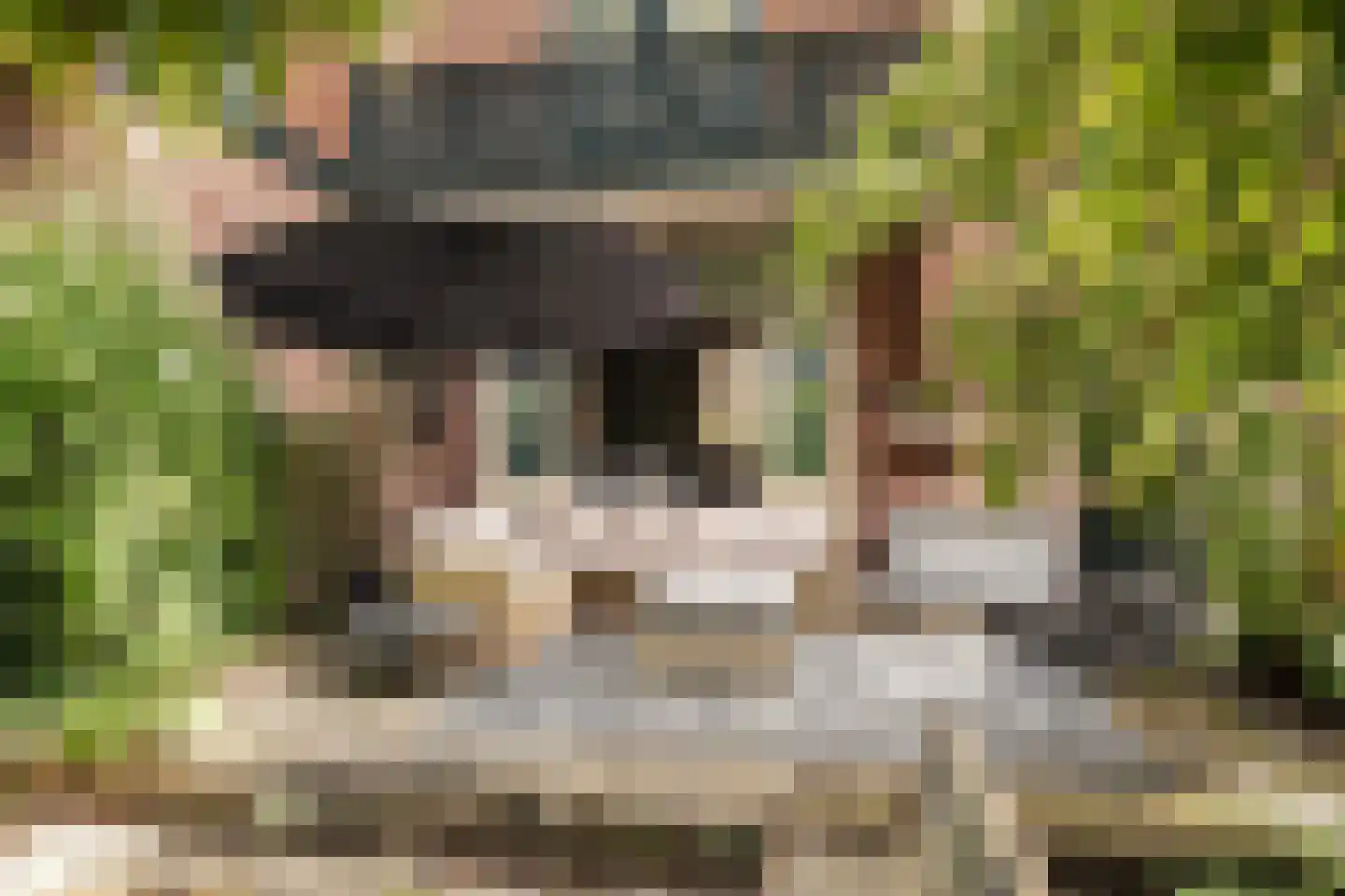 Johan de Wittlaan 20 Haarlem thumbnail 4