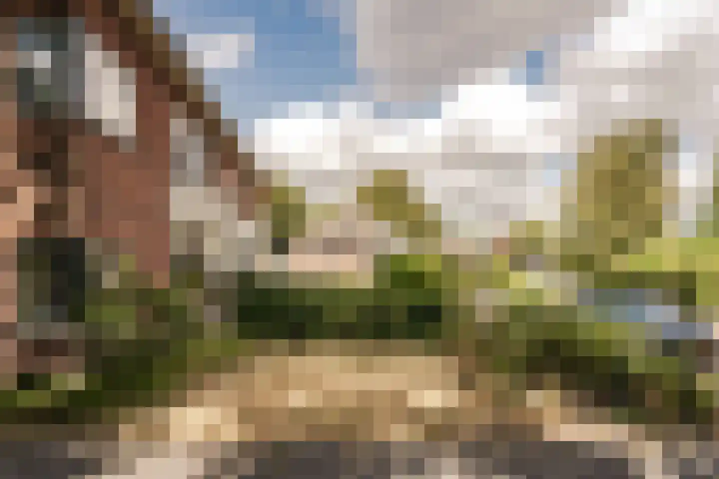 Johan de Wittlaan 20 Haarlem thumbnail 41