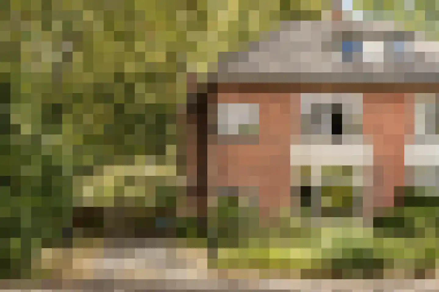 Johan de Wittlaan 20 Haarlem thumbnail 5