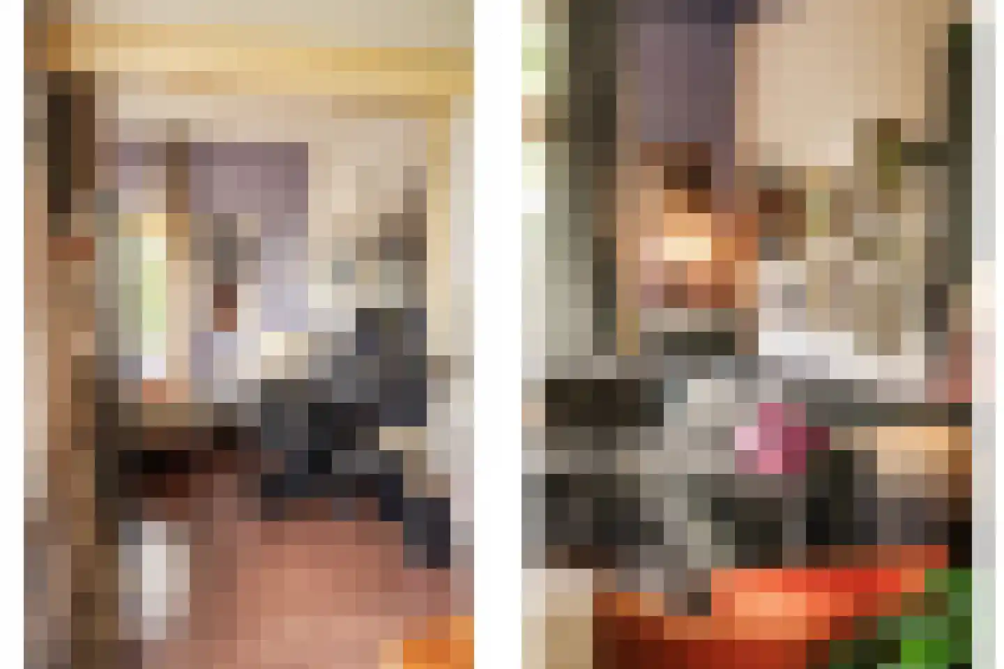 Johan de Wittlaan 20 Haarlem thumbnail 8