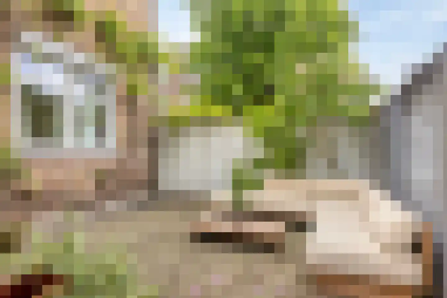 Johan de Wittlaan 202 Arnhem thumbnail 17