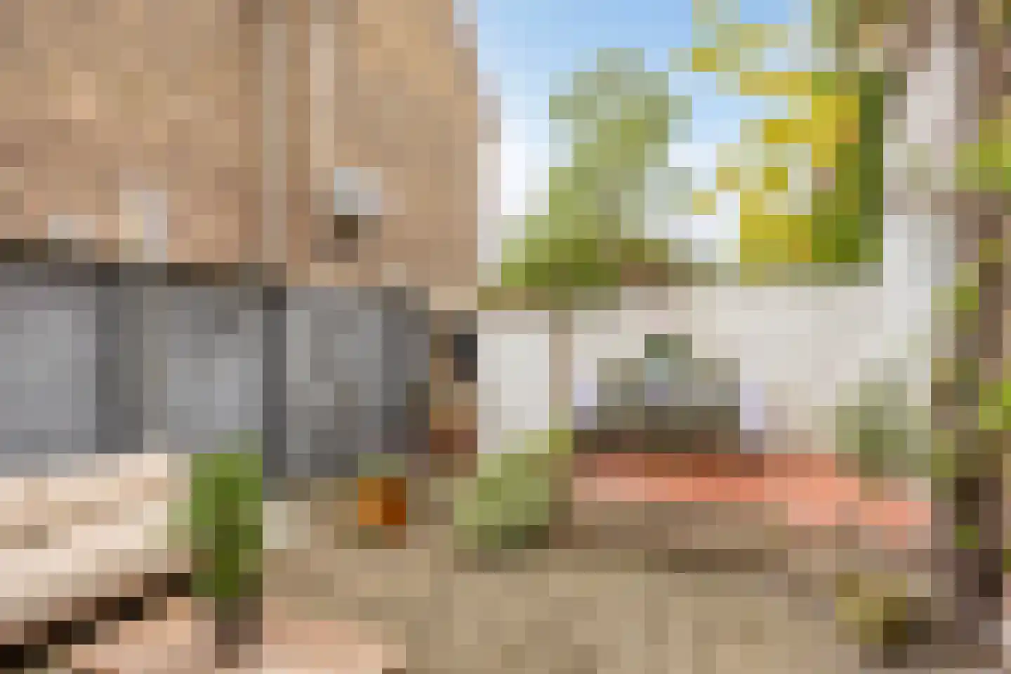 Johan de Wittlaan 202 Arnhem thumbnail 18