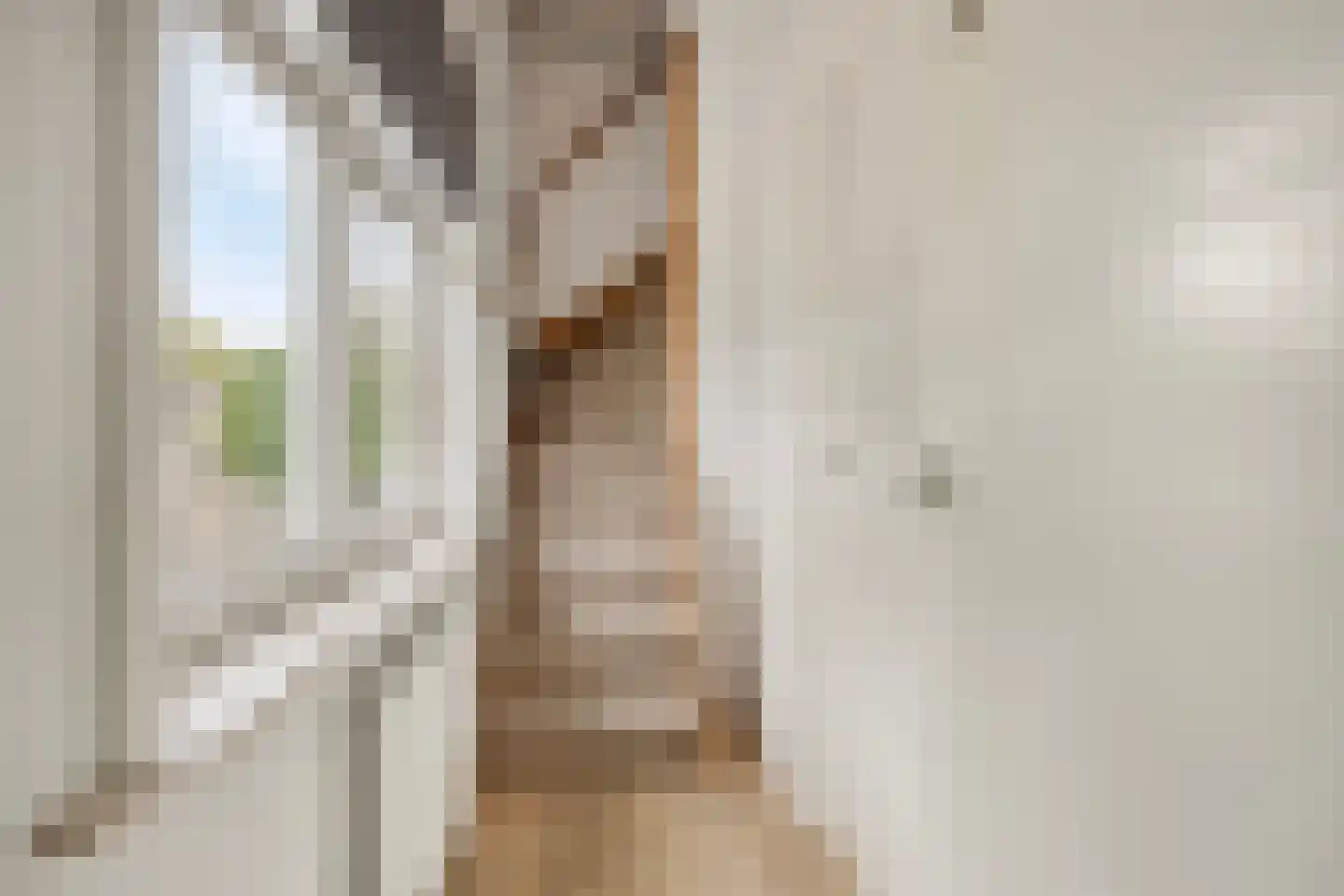 Johan de Wittlaan 202 Arnhem thumbnail 31