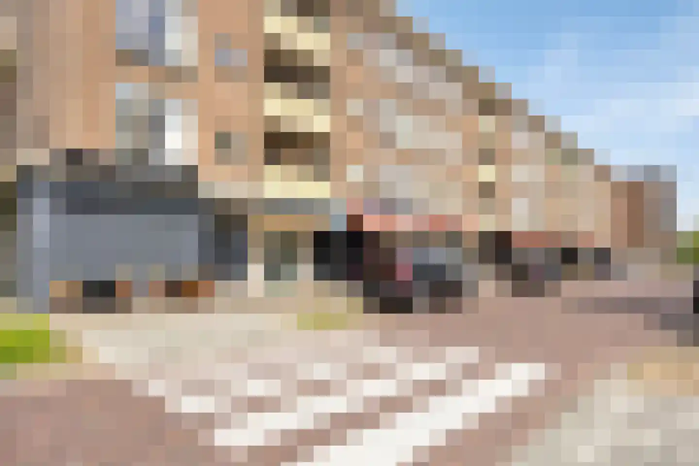 Johan de Wittlaan 202 Arnhem thumbnail 44