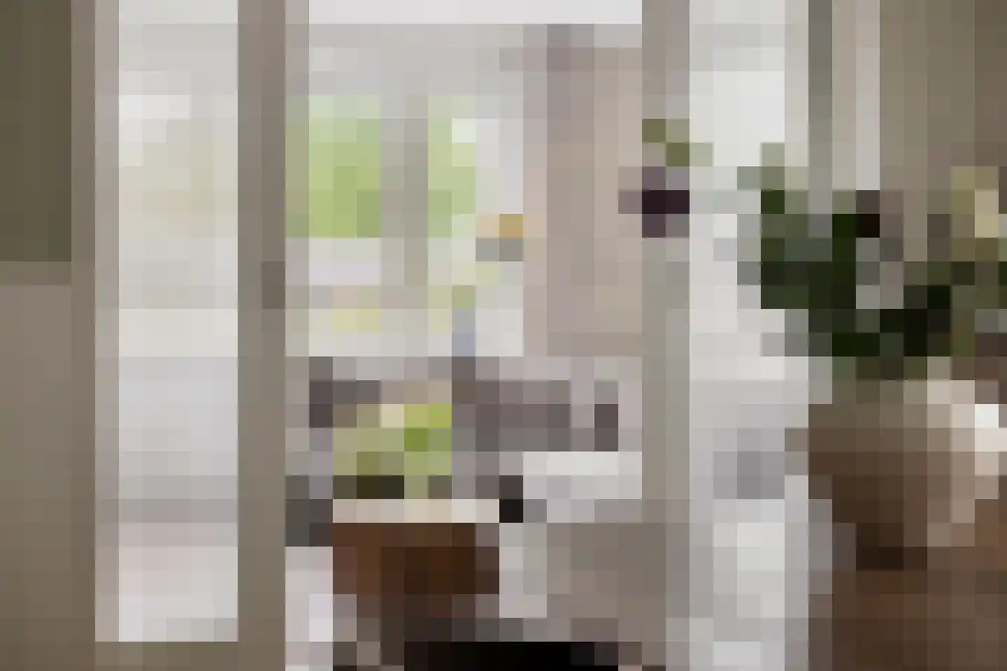 Johan de Wittlaan 202 Arnhem thumbnail 7