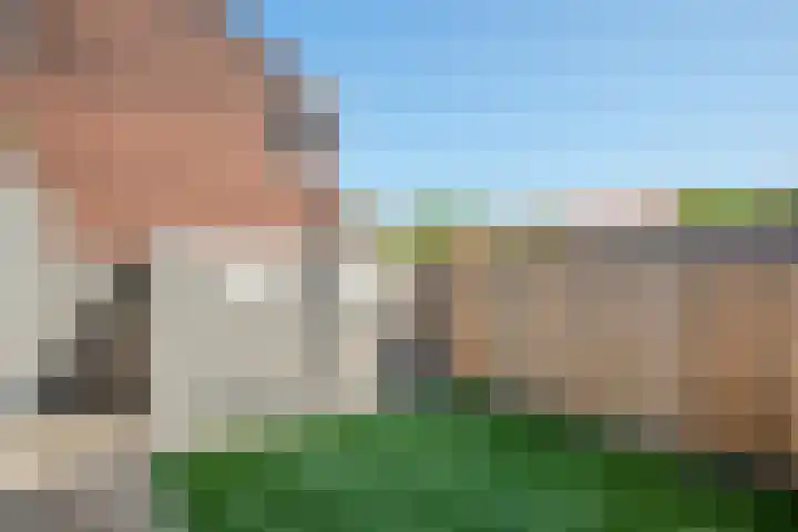 Johan de Wittlaan 205 Arnhem thumbnail 52
