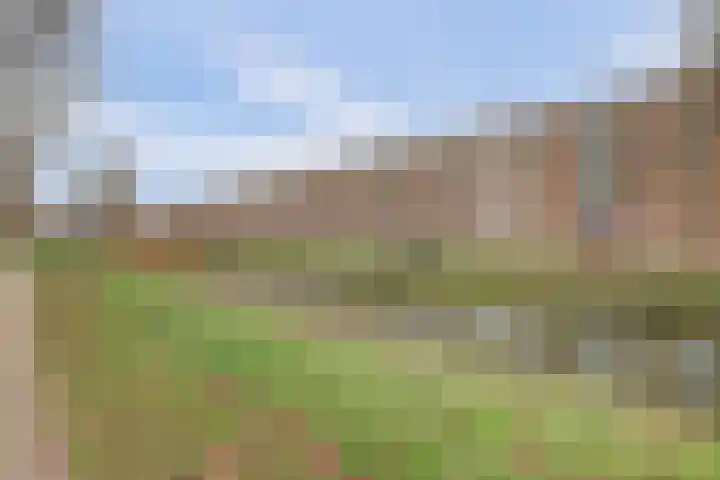 Johan de Wittlaan 206 2 Arnhem thumbnail 28