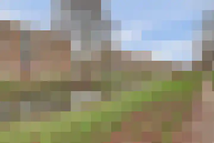 Johan de Wittlaan 206 2 Arnhem thumbnail 29