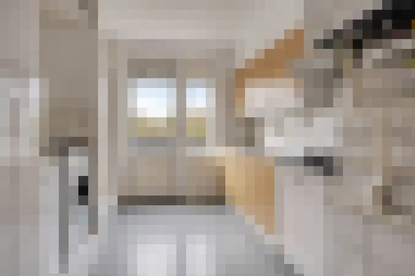 Johan de Wittlaan 206 3 Arnhem thumbnail 10