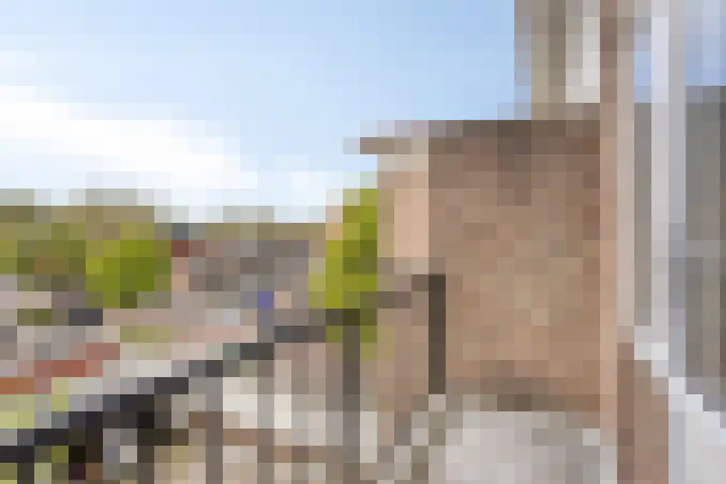 Johan de Wittlaan 206 3 Arnhem thumbnail 15
