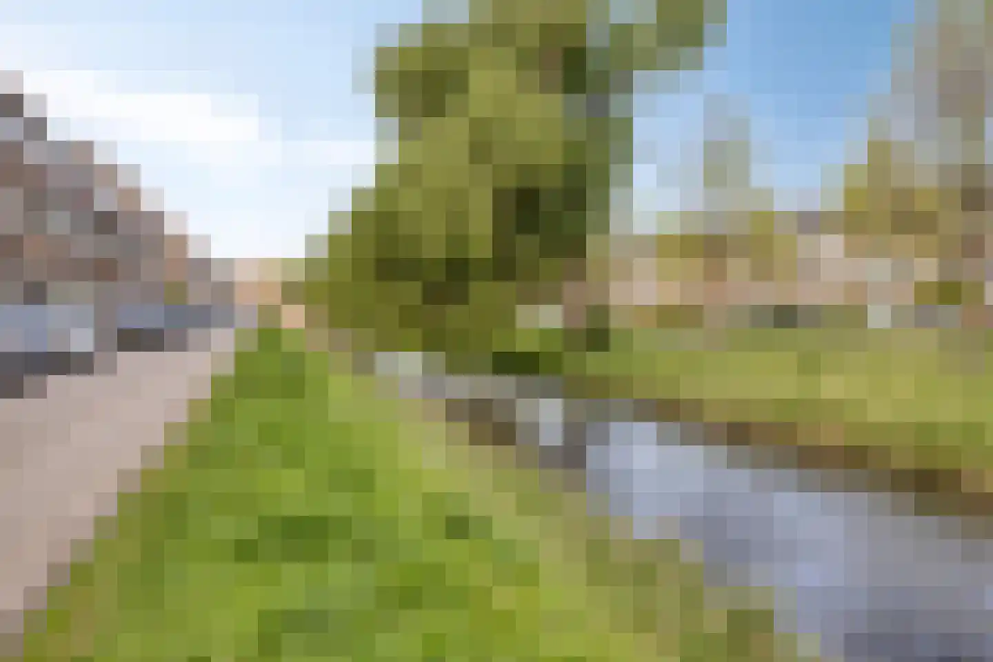 Johan de Wittlaan 206 3 Arnhem thumbnail 34