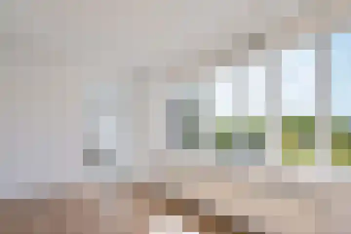 Johan de Wittlaan 212 3 Arnhem thumbnail 16