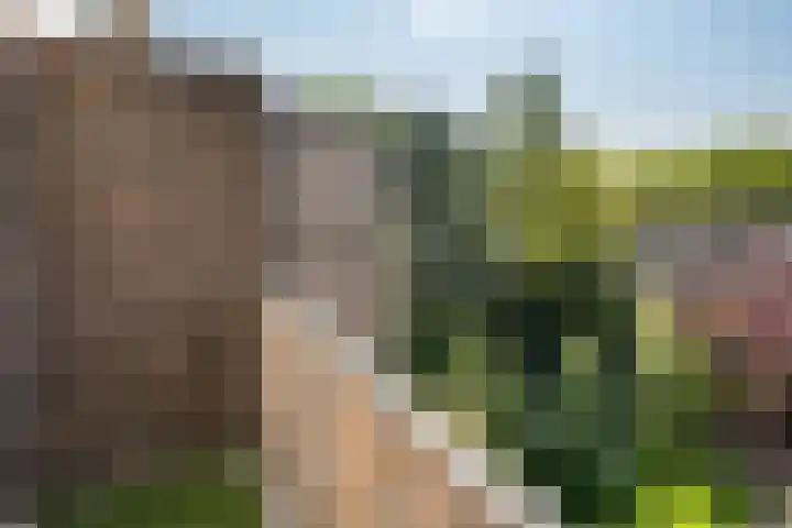 Johan de Wittlaan 212 3 Arnhem thumbnail 22