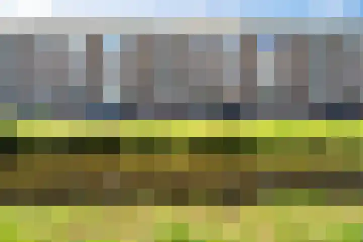 Johan de Wittlaan 212 3 Arnhem thumbnail 30