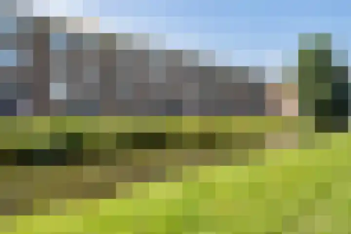 Johan de Wittlaan 212 3 Arnhem thumbnail 31