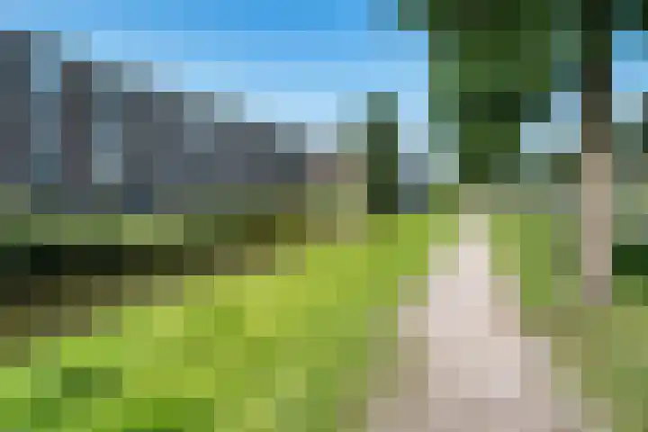 Johan de Wittlaan 212 3 Arnhem thumbnail 33