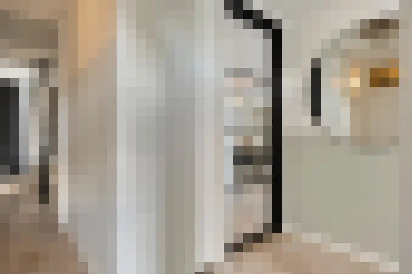 Johan de Wittlaan 22 Etten-Leur thumbnail 8
