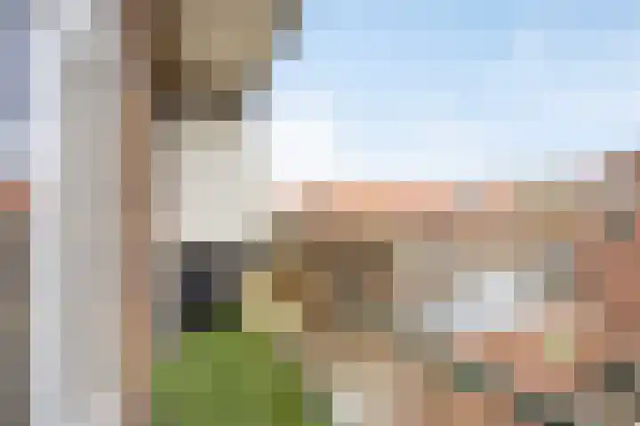 Johan de Wittlaan 239 1 Arnhem thumbnail 12