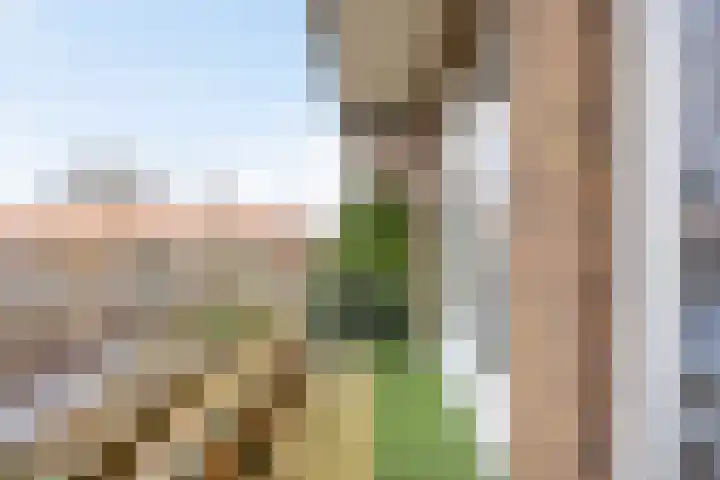 Johan de Wittlaan 239 1 Arnhem thumbnail 13