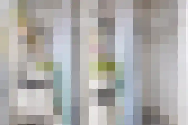 Johan de Wittlaan 239 1 Arnhem thumbnail 15