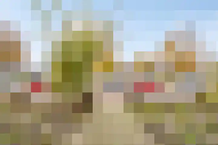 Johan de Wittlaan 239 1 Arnhem thumbnail 20