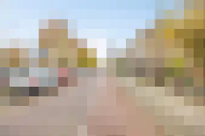 Johan de Wittlaan 239 1 Arnhem thumbnail 23