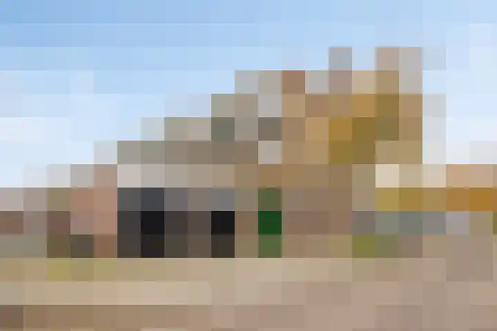 Johan de Wittlaan 239 1 Arnhem thumbnail 24