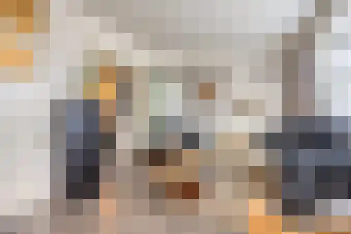 Johan de Wittlaan 239 1 Arnhem thumbnail 5