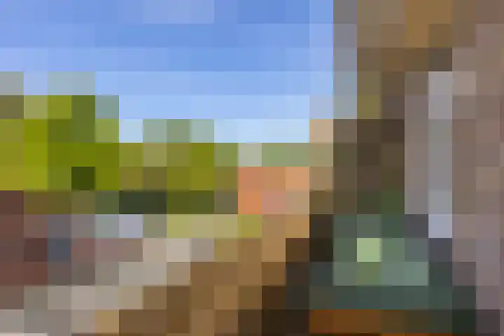 Johan de Wittlaan 259 2 Arnhem thumbnail 16