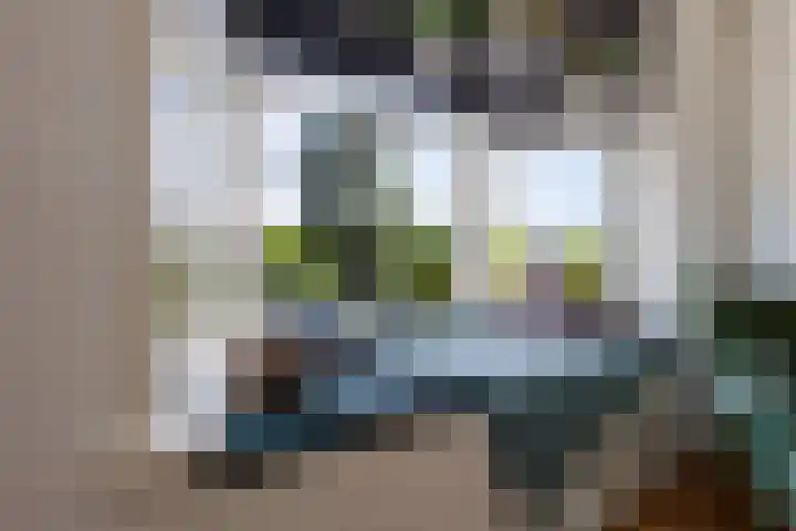 Johan de Wittlaan 259 2 Arnhem thumbnail 4